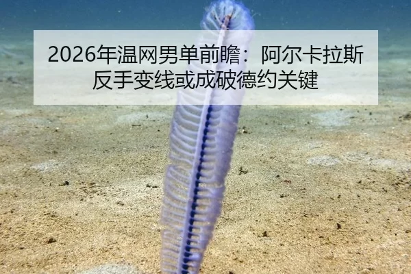 nian-wen-wang-nan-dan-qian-zhan-a-er-ka-la-si-fan-shou-bian-xian-huo-cheng-po-de-yue-guan-jian-3-691.jpg
