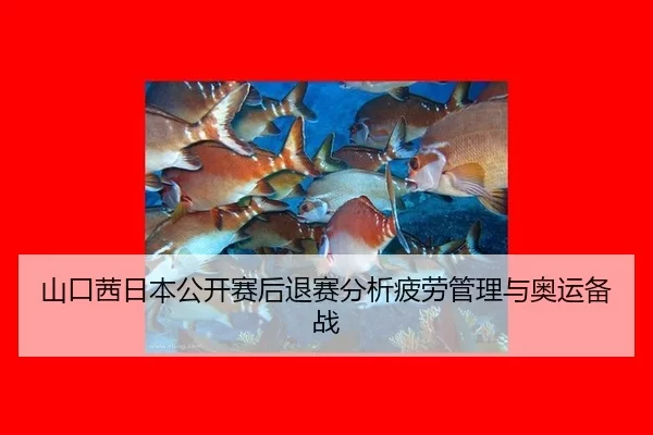 shan-kou-qian-ri-ben-gong-kai-sai-hou-tui-sai-fen-xi-pi-lao-guan-li-yu-ao-yun-bei-zhan-2-103.jpg